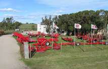 img1.jpg